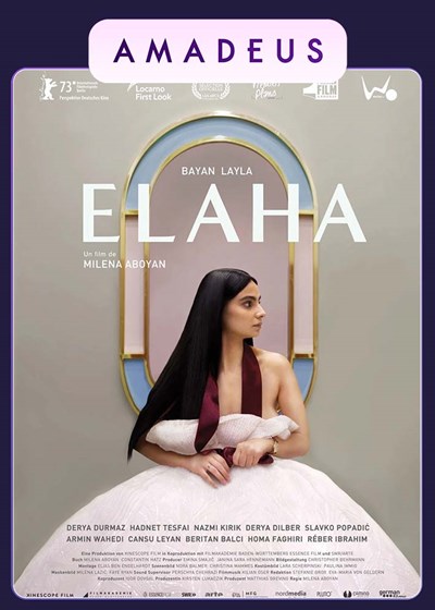 JDC ALEMAN: ELAHA