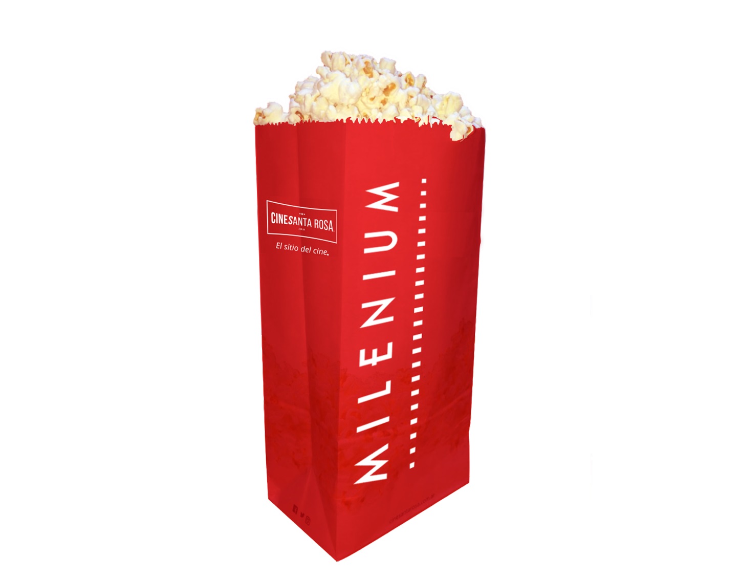BOLSA POCHOCLOS